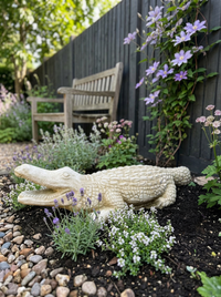 Aligator