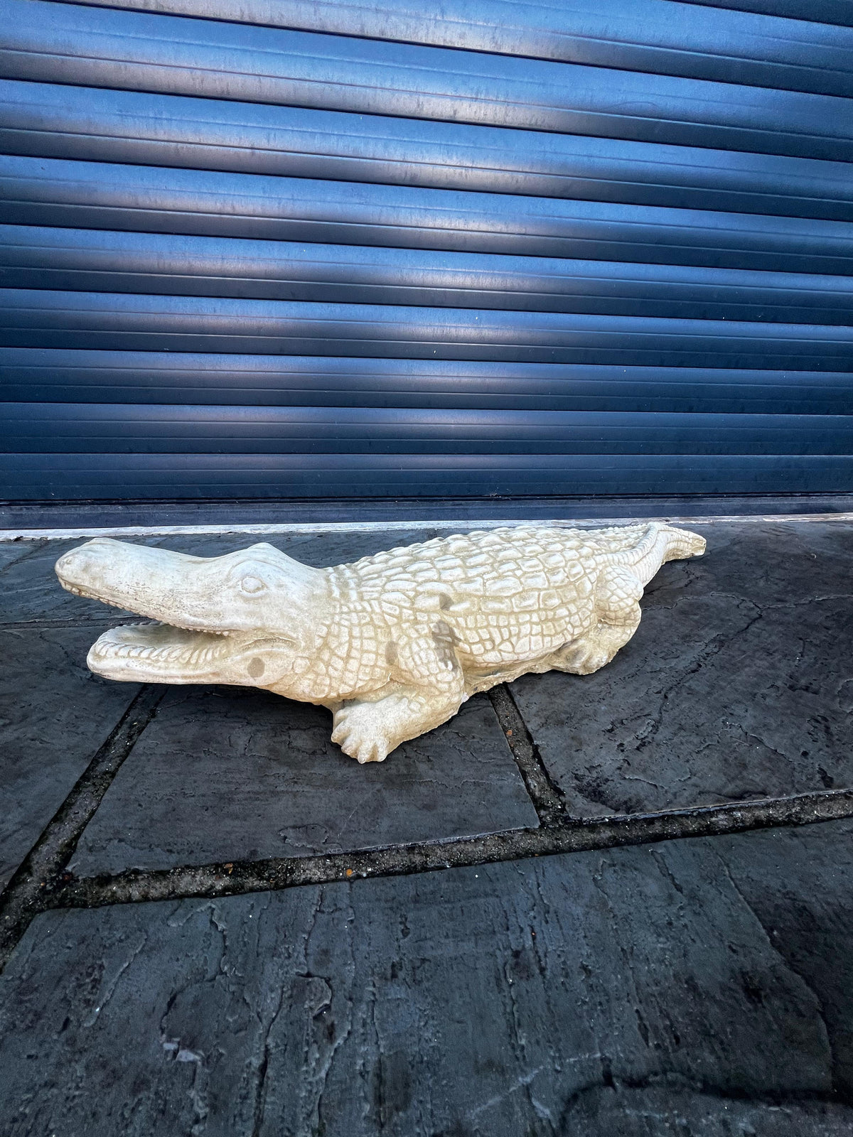 Aligator