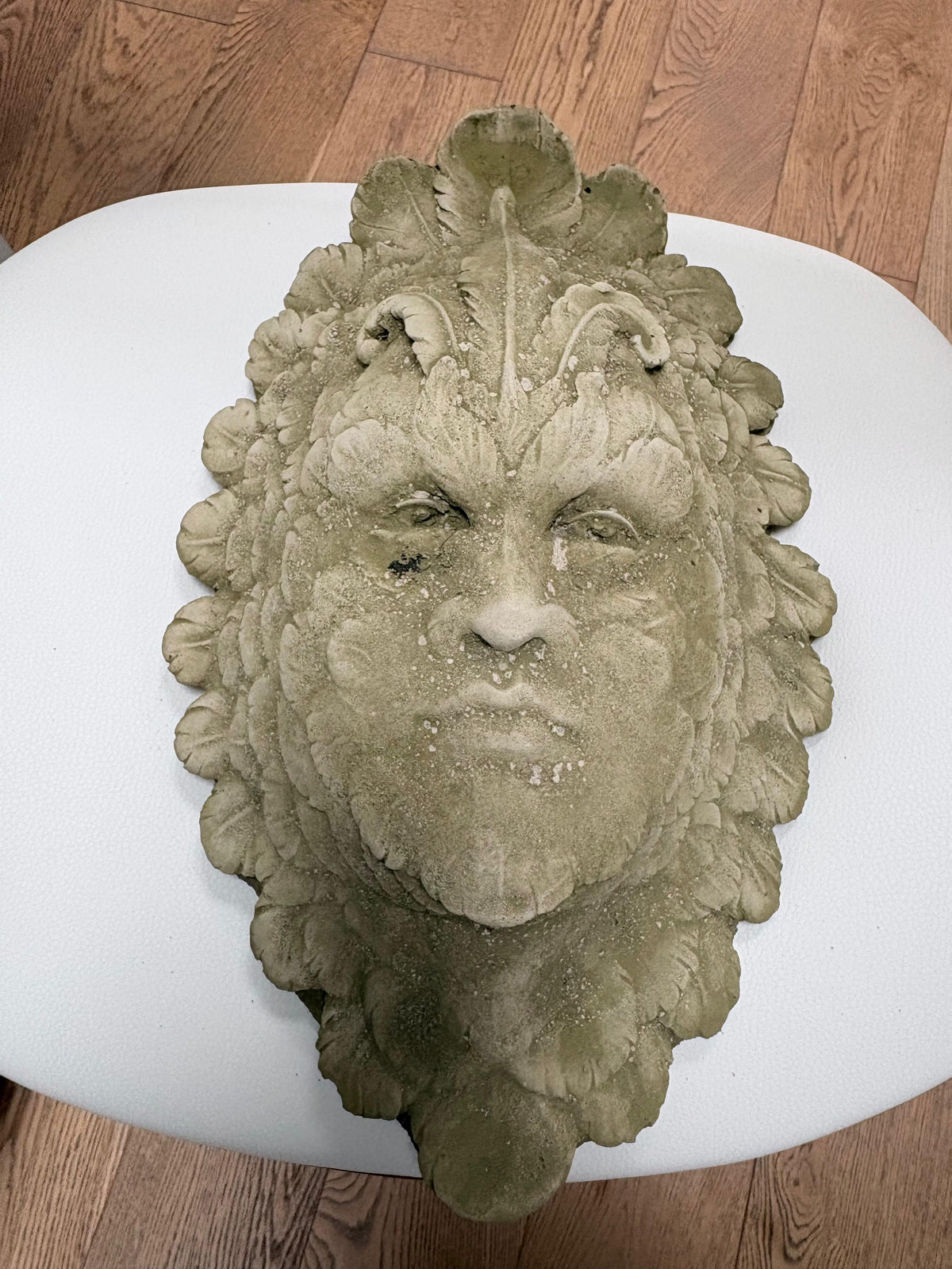 Phoenix Head